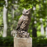 Photo of Campania Large Horned Owl - Exclusively Campania